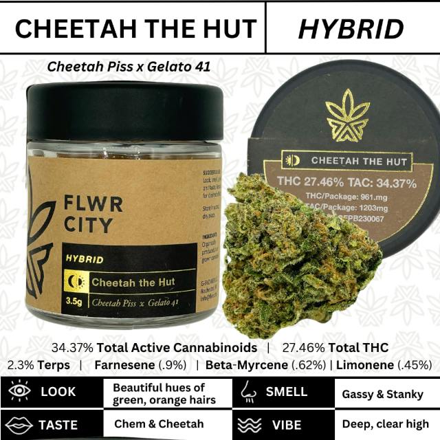 CHEETAH THE HUT-3.5G
