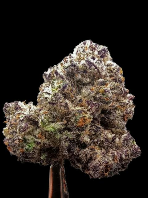 CHERRY GHOSTENADE - 3.5G FLOWER