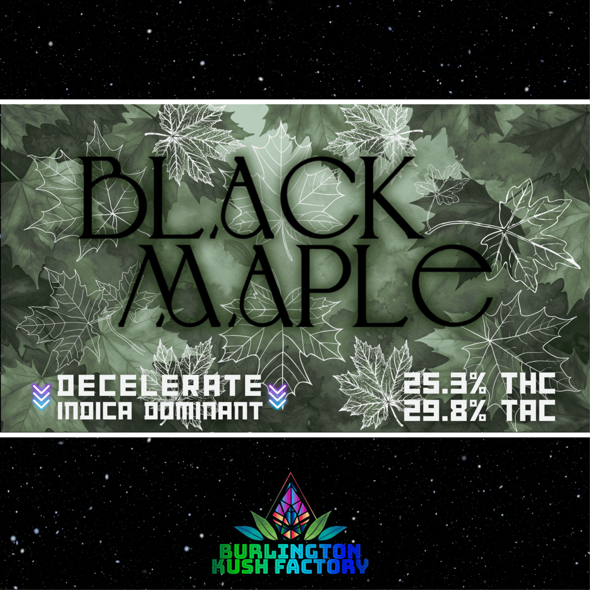PR - 1G - Black Maple