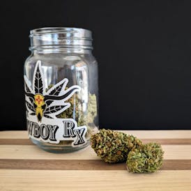 Astro Fire (Hybrid) | 3.5g Silver Spur Flower