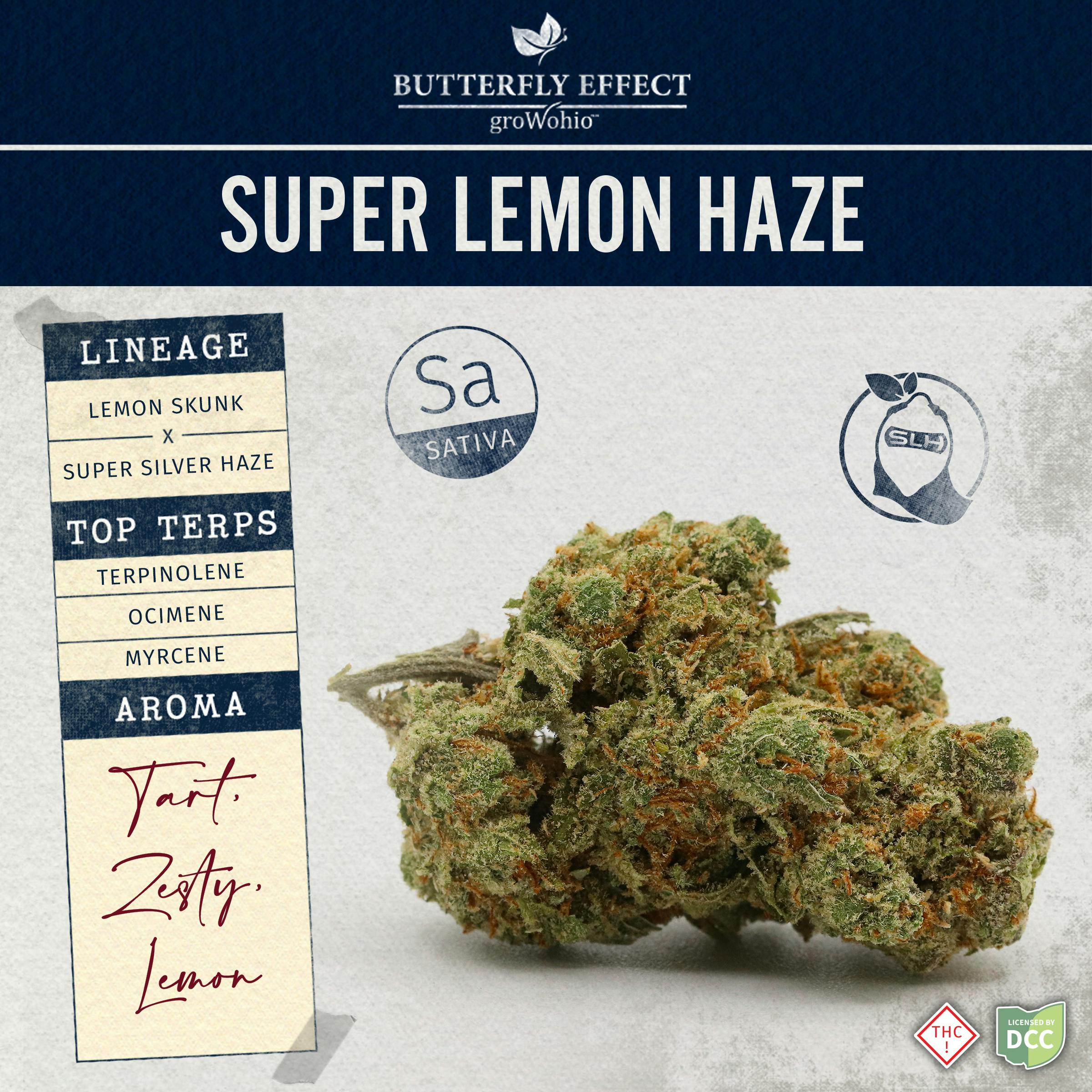 SLH Budlet - 14.15g Smalls