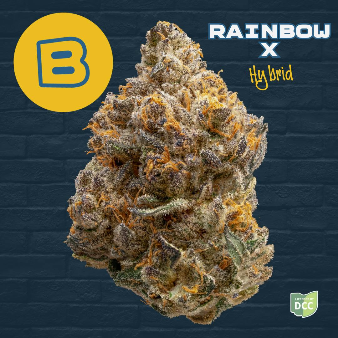 Rainbow X - 14.15g Smalls