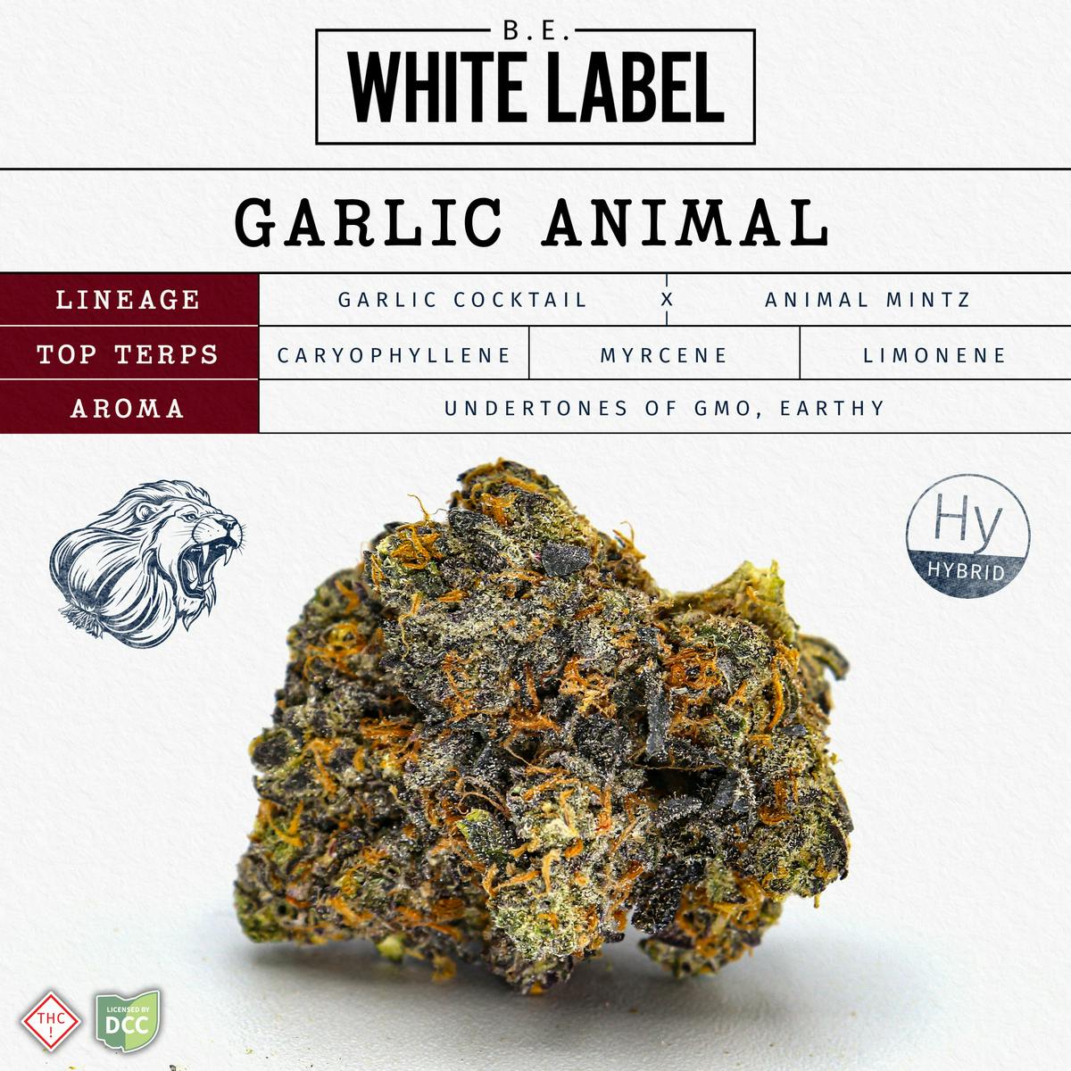 Garlic Animal - 2.83g Whole Flower