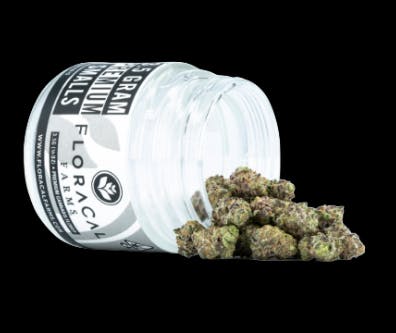 Gastro Pop: GASTRO POP 3.5G BAG