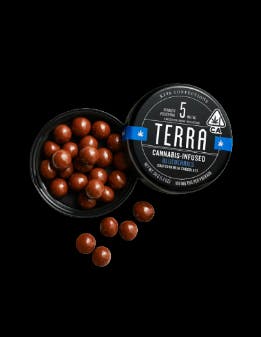 CHOCOLATE BLUEBERRIES 100MG