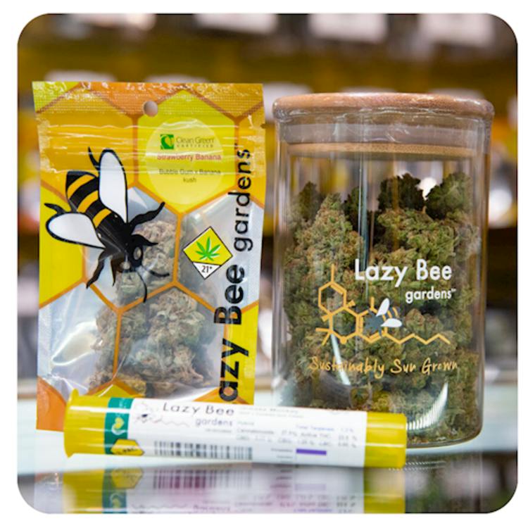 JO 6pk Assorted 3.6g Lazy Bee