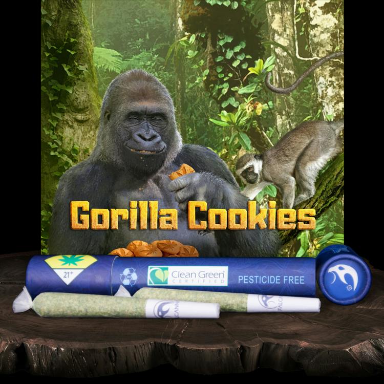 JO 2pk Gorilla Cookies 1.2g Falcanna