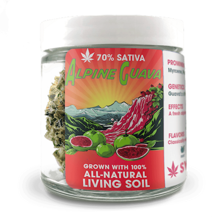 FL Alpine Guava 7g Sweetwater Farms