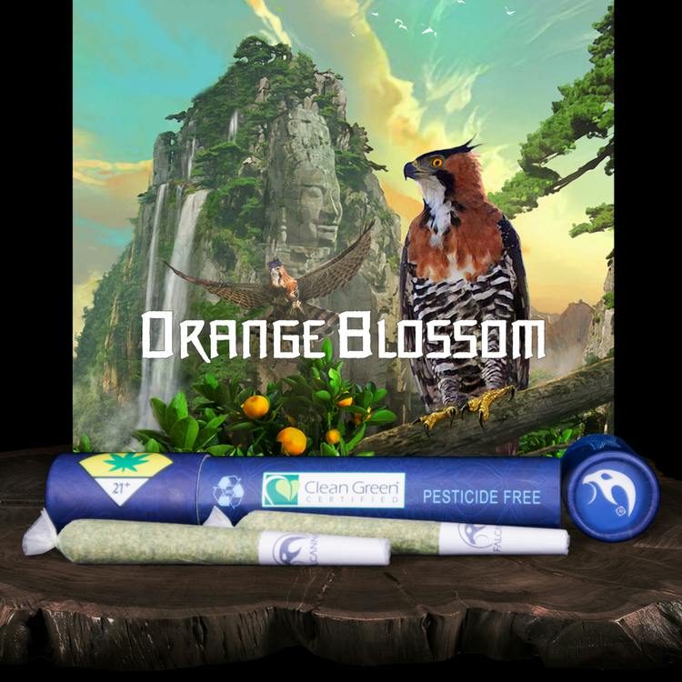 JO 2pk Orange Blossom 1.2g Falcanna