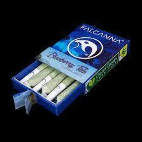 JO 12pk Blueberry Tide 7.2g Falcanna