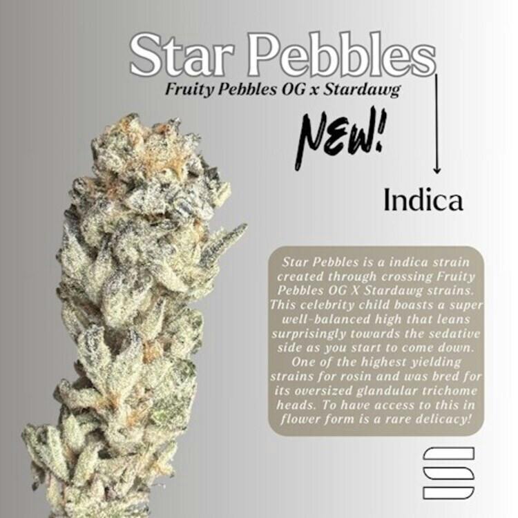 FL Star Pebbles 7g Suspended