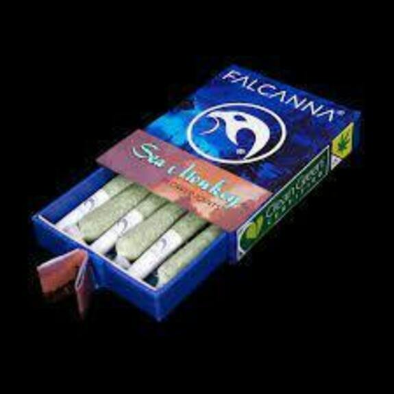 JO 6pk Sea Monkey 3.6g Falcanna
