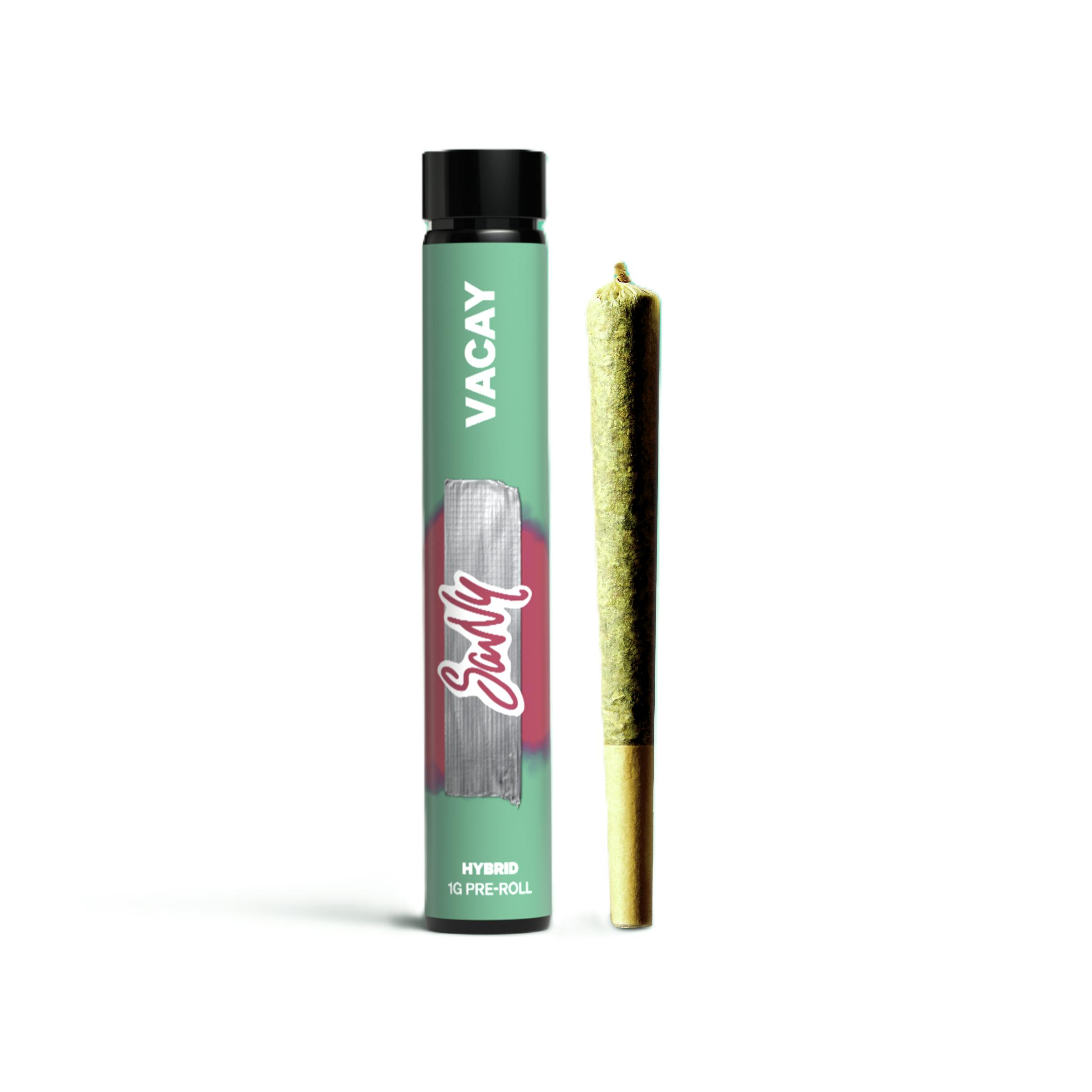 SAVVY VACAY GAS POWERED CAKE 1G