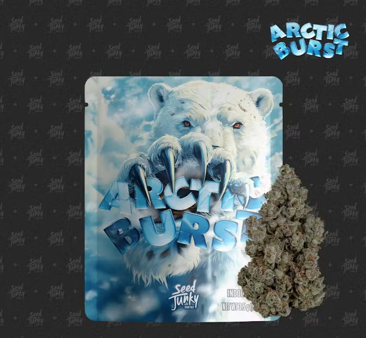 Seed Junky Genetics: Arctic Burst