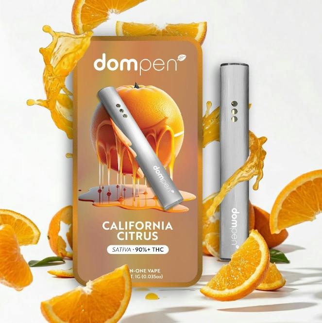 Dompen - 1g AIO - Mango Haze