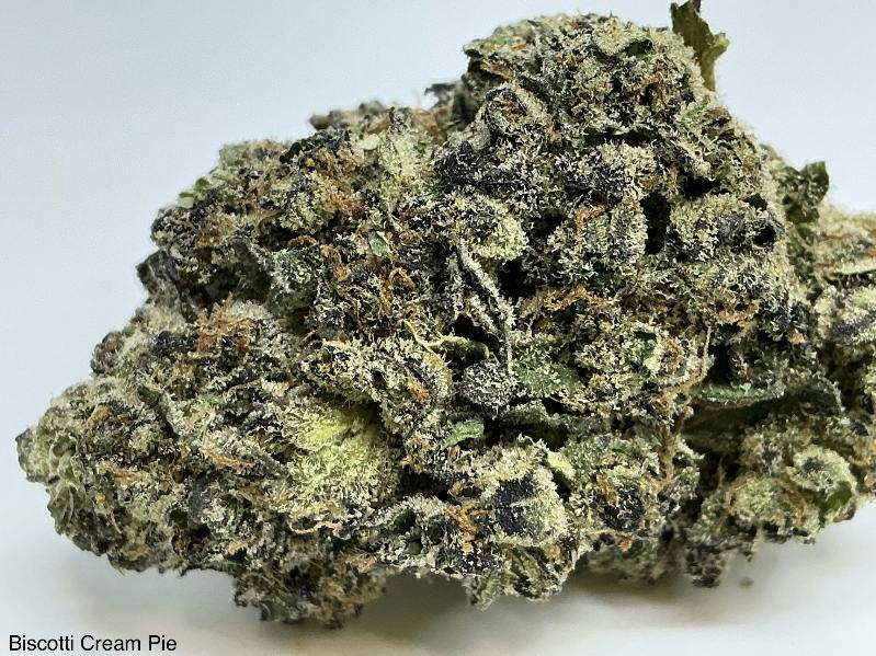 Biscotti Cream Pie 32% by Orbit