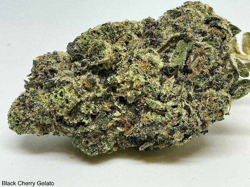 Black Cherry Gelato 27% by Orbit