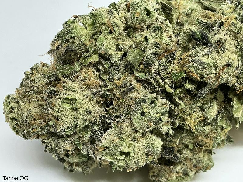 Tahoe OG 32% by Orbit