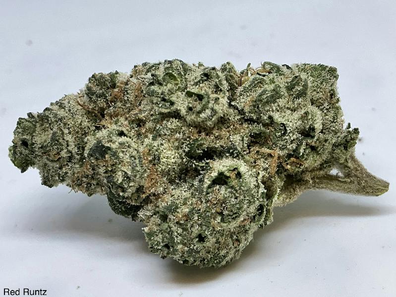 Red Runtz 21% by Harbor Farmz