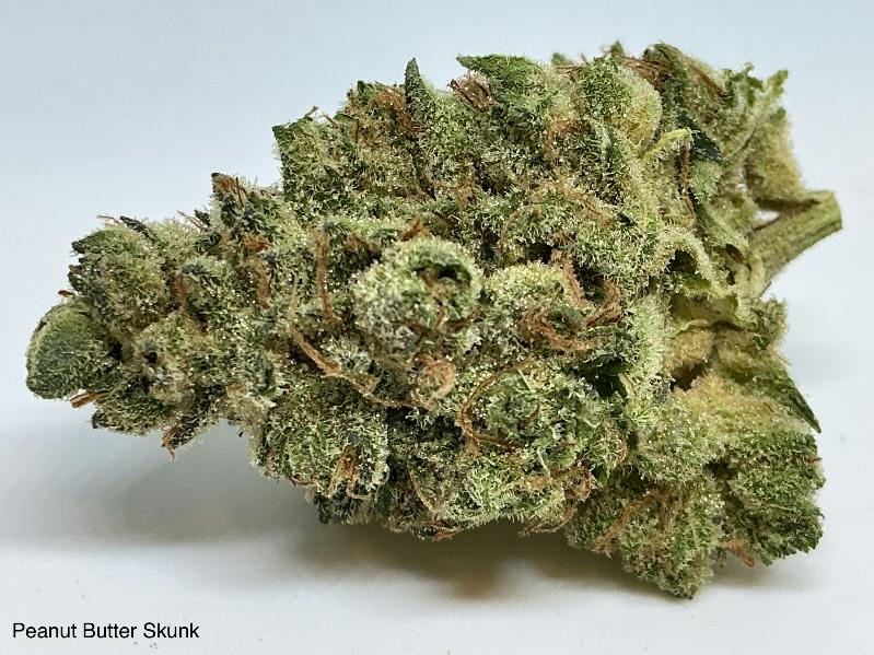 Peanut Butter Skunk 28% by Green Ganja