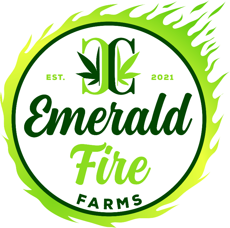 Emerald Fire Blue Velvet 1g Infused Pre-Roll