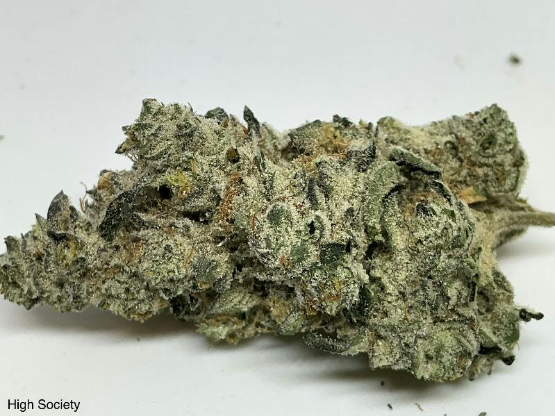 High Society 27% by Green Sprout