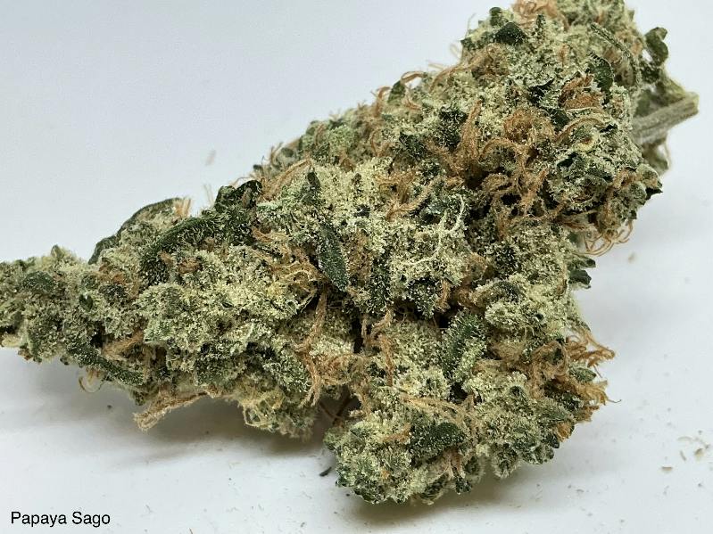 Papaya Sago 25% by Good Nature
