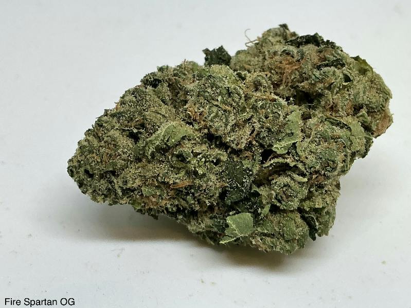 Fire Spartan OG 26% by Trap House