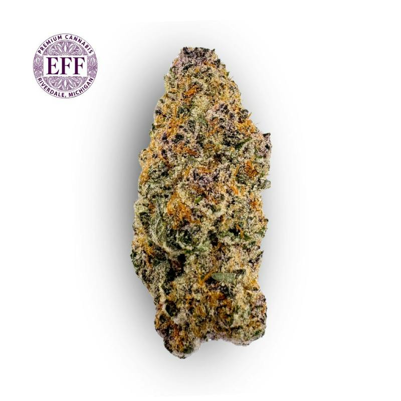 Boof Tart 30% by EFF!