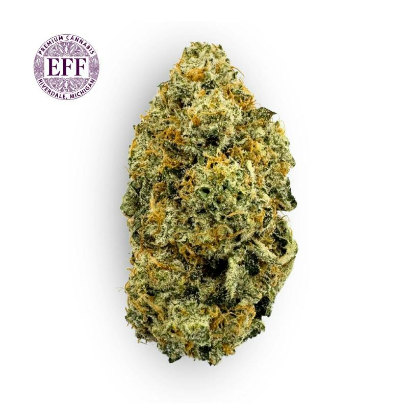 Slitherin 28% by EFF!