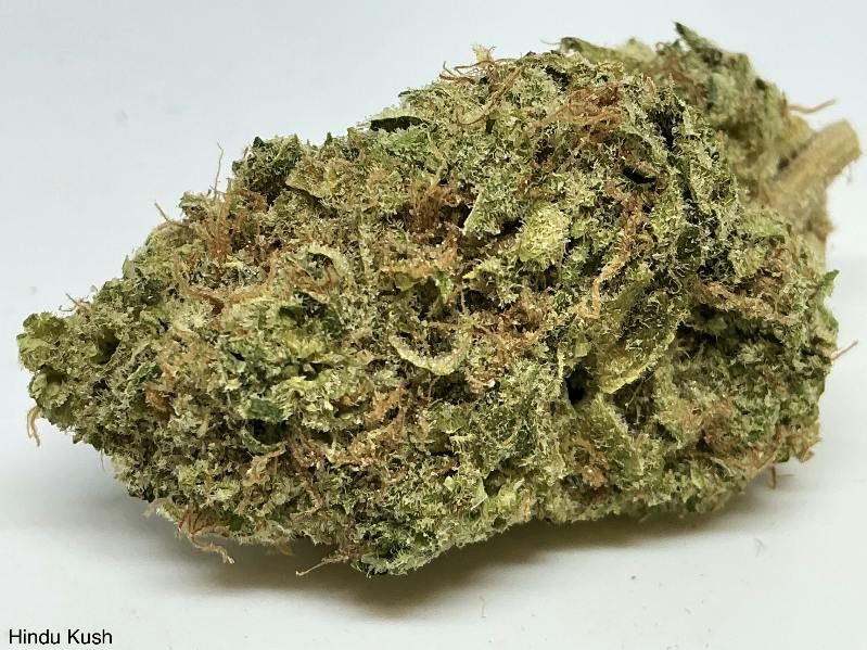 Hindu Kush 26% by Wilder Pharms