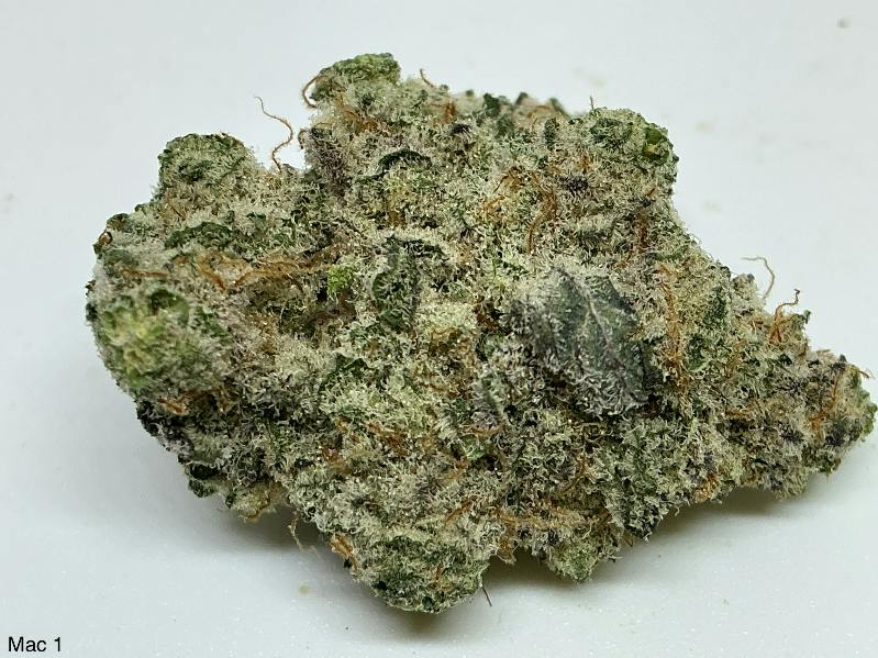 Mac 1 26% by Harbor Farmz