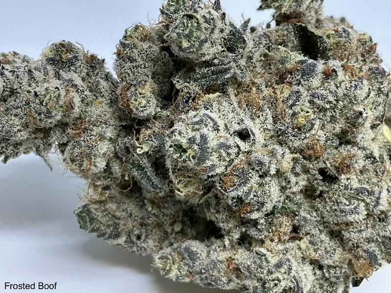Frosted Boof 29% by Dr. JC's Exotics