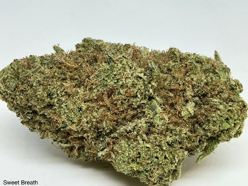 Sweet Breath 31% by Orbit