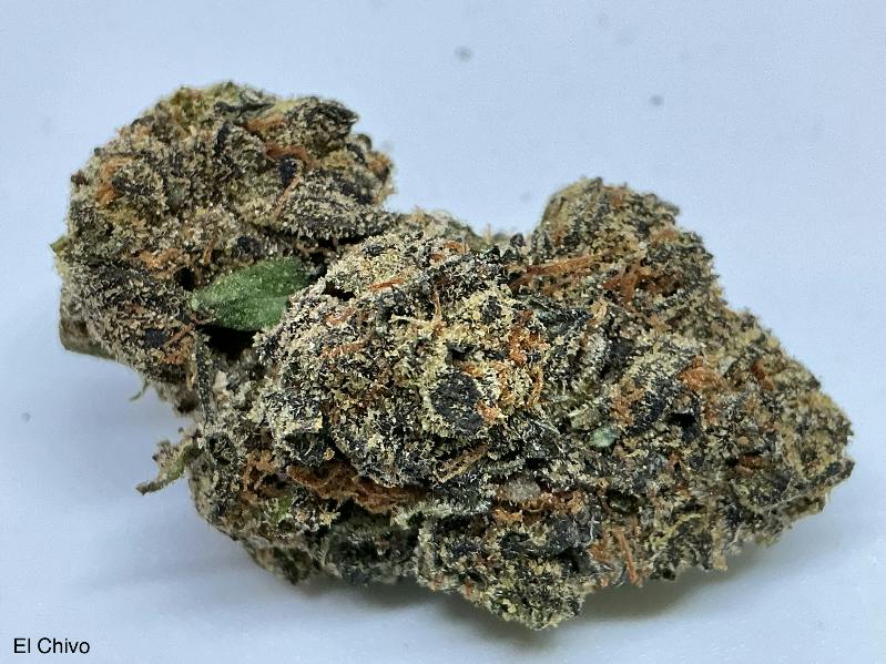 El Chivo 32% by Orbit