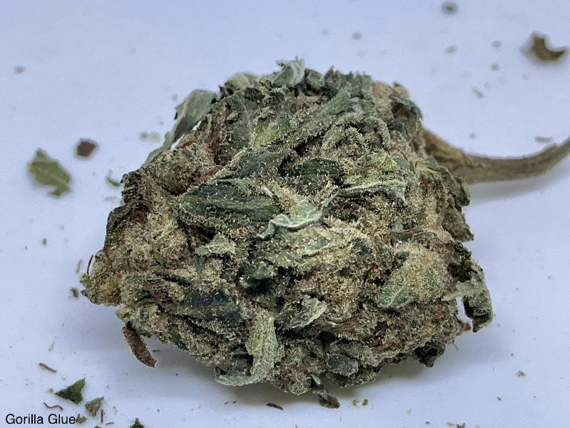 Gorilla Glue 24% by Dragonfly