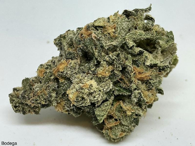 BODEGA 30% by Dr. JC's Exotics