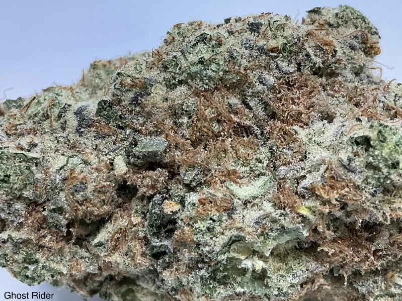 Ghost Rider 31% by Dr. JC's Exotics