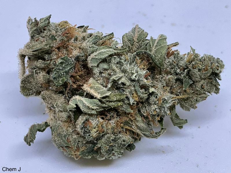 Chem J