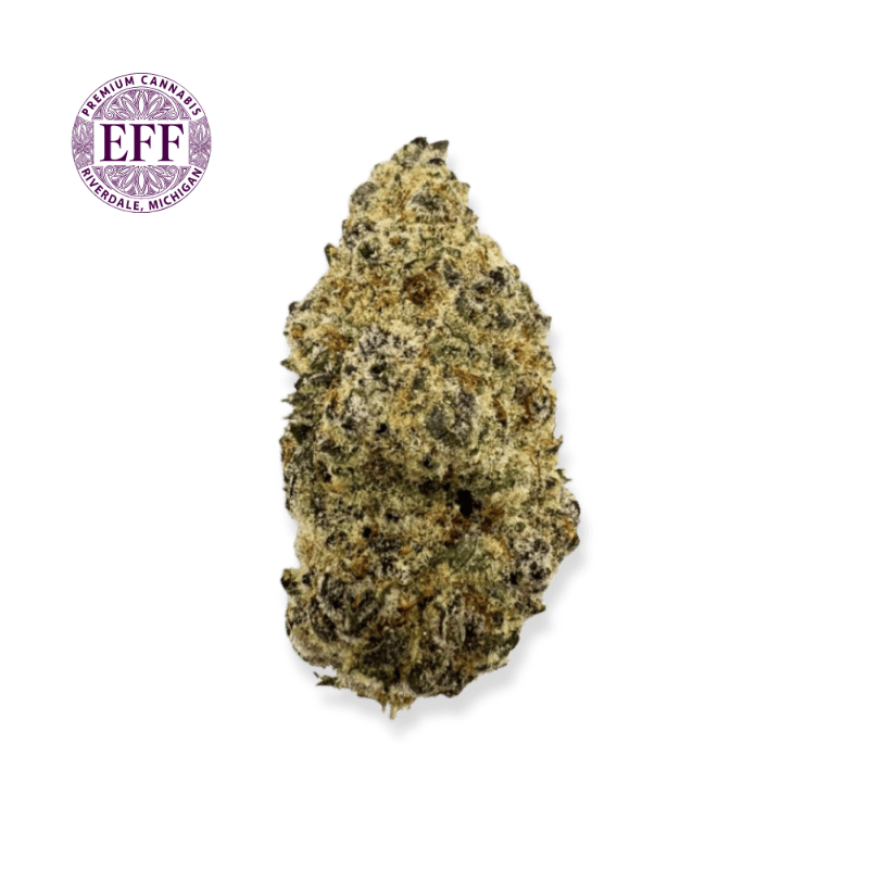 Gelato 41 31% by EFF!