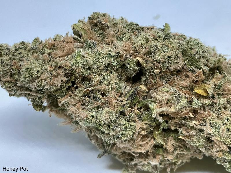 Honey Pot 28% by Candela