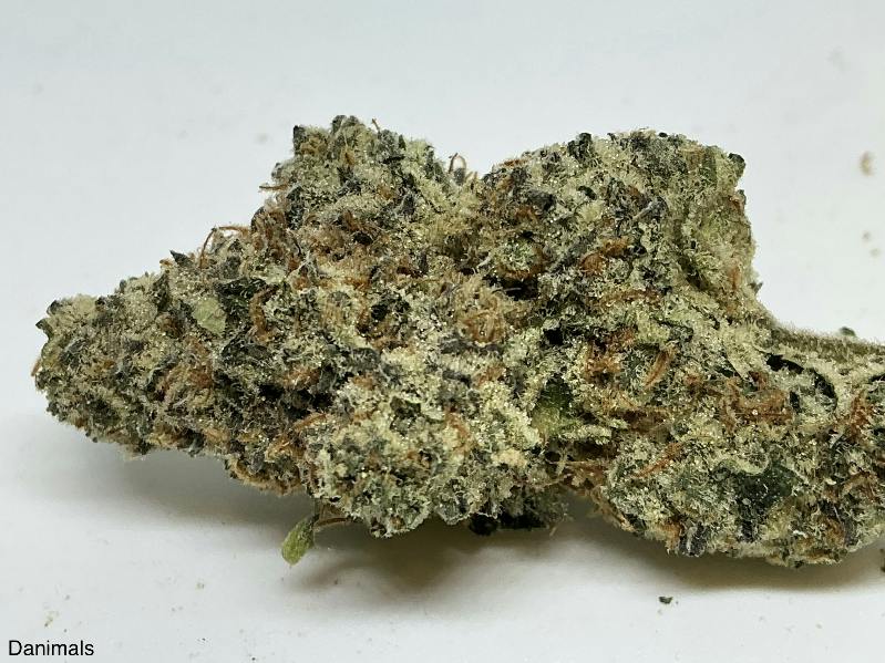 Danimals 28% by Candela