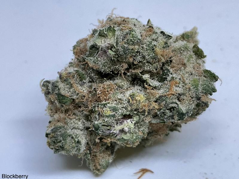 Blockberry 27% by Candela