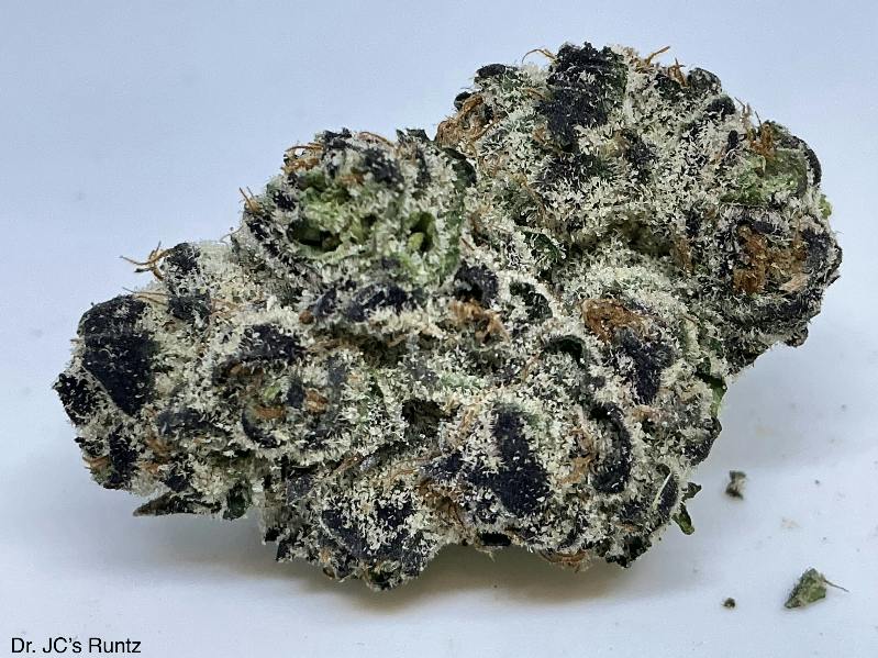 DRJC RUNTZ 32% by Dr. JC's Exotics
