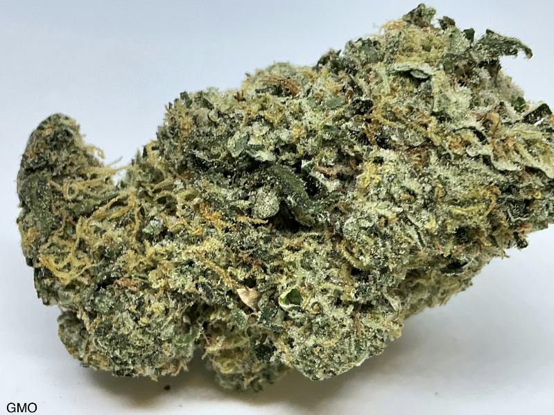GMO 33% by Dr. JC's Exotics