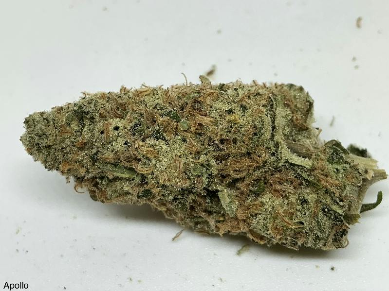 Apollo 28% by Candela