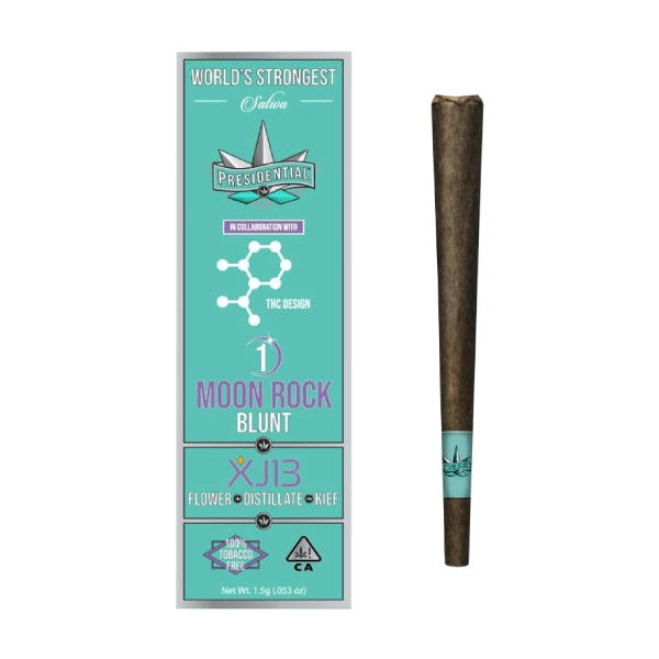 Presidential XJ-13 (S/H) — Blunt