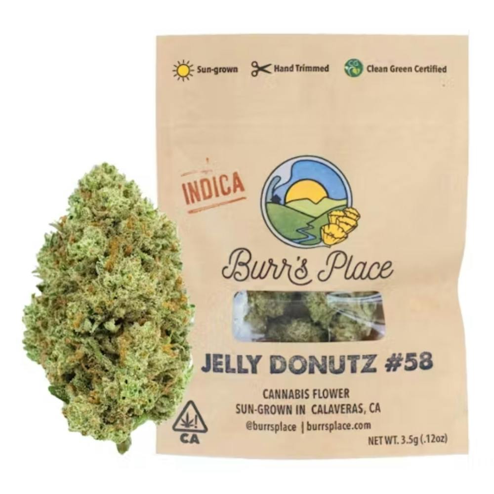 Burr's Place: Jelly Donutz