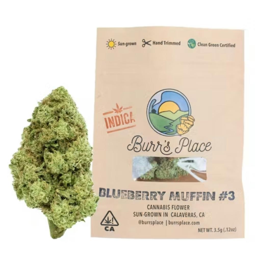 Burr's Place: Blueberry Muffin