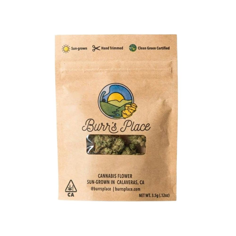 Burr's Place Blueberry Biscotti (H) Flower 3.5g